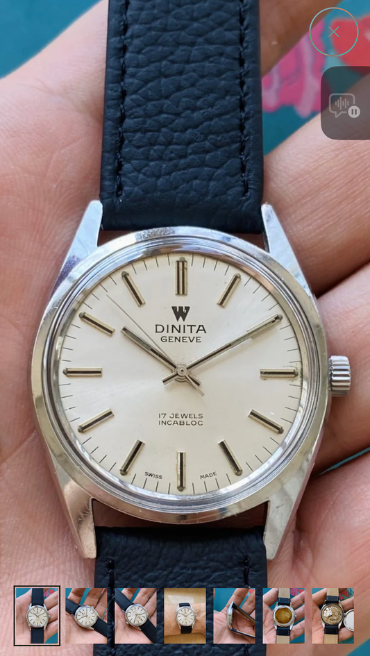 Swiss Made Vintage DINITA Manual Wind Watch ETA2750 17 Jewels 36mm 099-0180